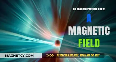 Exploring the Magnetic Fields of Charged Particles: A Deep Dive