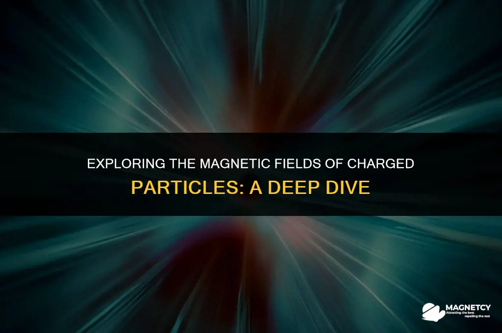 do charged particles have a magnetic field