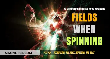 Spinning Charged Particles: Unveiling the Magnetic Field Mystery