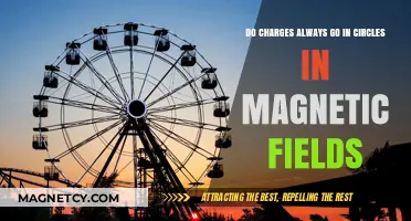 Exploring the Circular Motion of Charges in Magnetic Fields