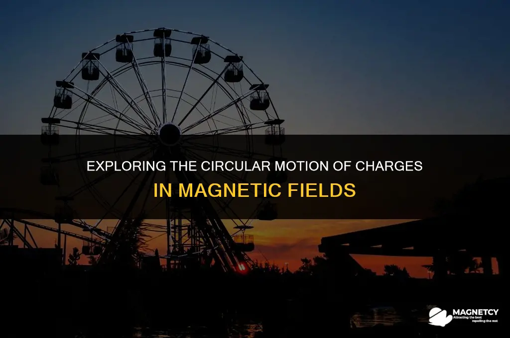 do charges always go in circles in magnetic fields