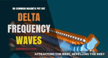 Exploring the Myth: Do Everyday Magnets Emit Delta Waves?