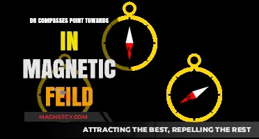 Exploring the Alignment: Do Compasses Always Point Towards Magnetic Fields?
