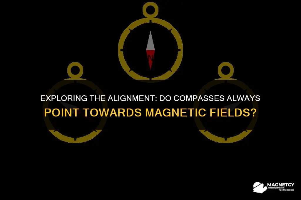 do compasses point towards in magnetic feild