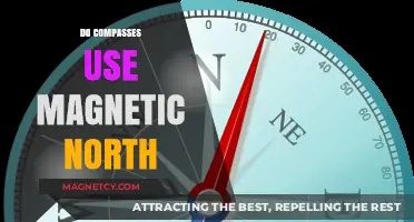 Compasses and Magnetic North: Understanding Earth's Navigational Pull
