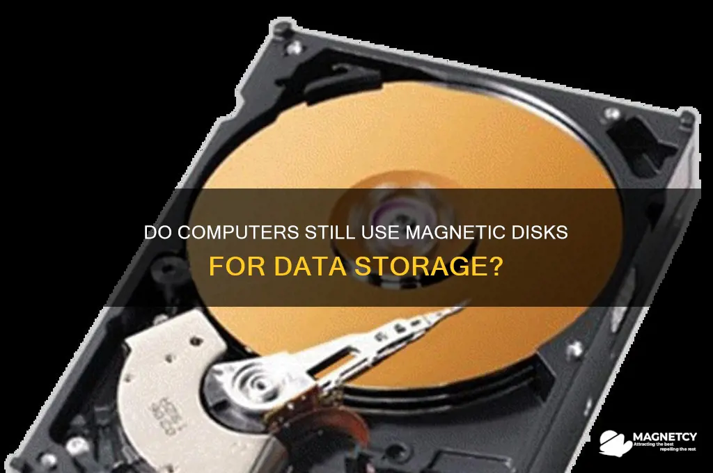 do computers use magnetic disks