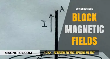 Exploring the Interaction: Conductors and Magnetic Fields