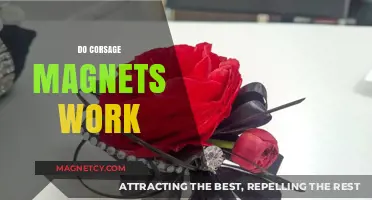 Exploring the Effectiveness of Corsage Magnets: A Practical Guide