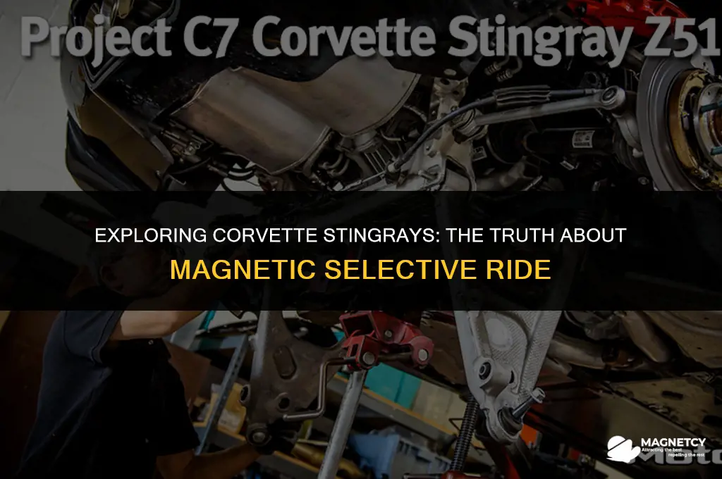 do corvette stingrays have magnetic selective ride