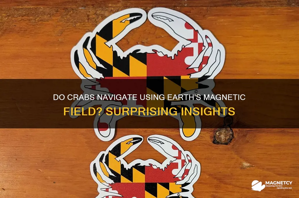 do crabs use the earth