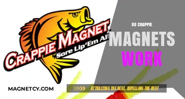 Unveiling the Truth: Do Crappie Magnets Really Attract Fish?