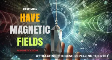 Exploring the Magnetic Mysteries of Crystals: A Deep Dive
