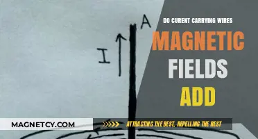 Exploring the Magnetic Fields Generated by Current-Carrying Wires