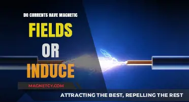 Exploring the Magnetic Mysteries of Electric Currents