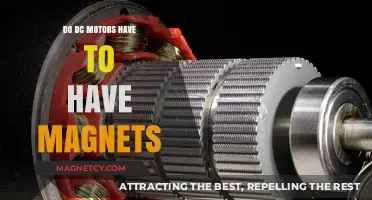 Exploring the Essentials: Do DC Motors Really Need Magnets?