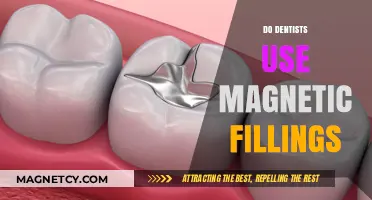 Do Dentists Use Magnetic Fillings? Unveiling the Truth Behind Dental Myths