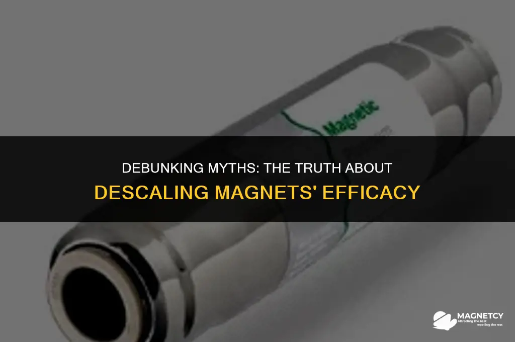 do descaling magnets work