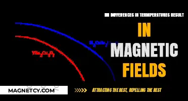 Exploring the Link Between Temperature Variations and Magnetic Fields