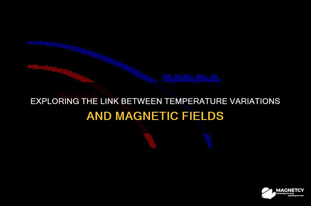 do differences in termperatures result in magnetic fields