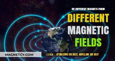 Exploring Magnetic Diversity: How Different Magnets Shape Unique Fields