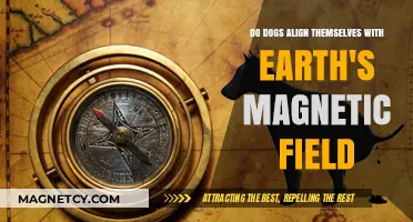 Canine Compass: Do Dogs Align Themselves with Earth's Magnetic Field?
