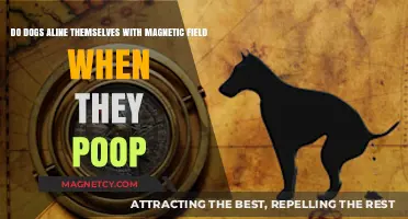 Paws and Magnetism: The Surprising Alignment of Dogs During Bathroom Breaks