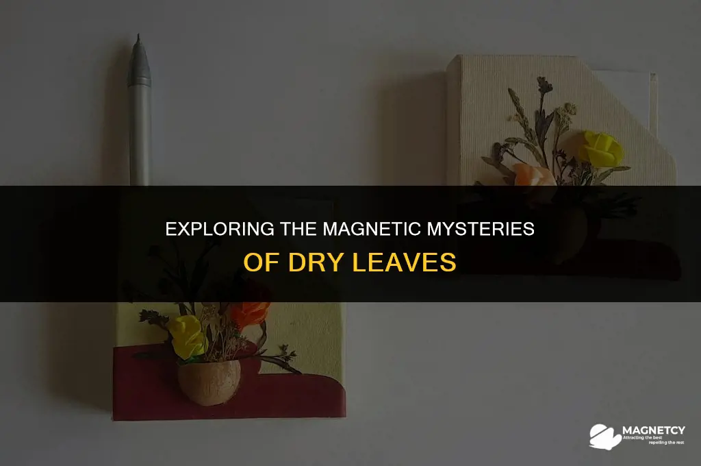 do dry leaves react to magnetic fields