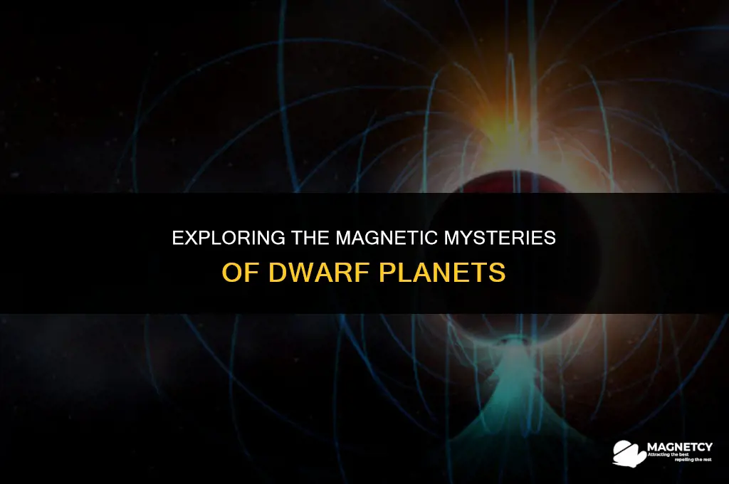 do dwarf planets have a magnetic field