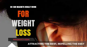Exploring the Truth: Do Ear Magnets Aid in Weight Loss?