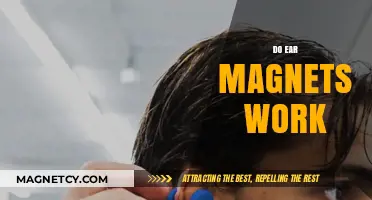 Exploring the Science Behind Ear Magnets: Do They Really Work?