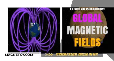 Exploring the Magnetic Mysteries of Earth and Mars