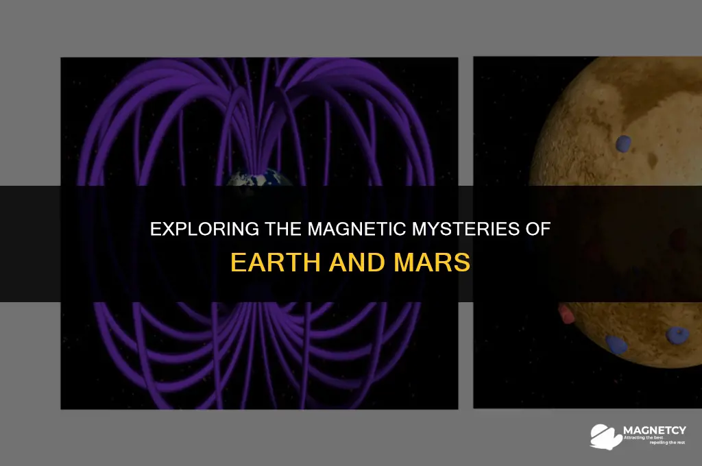 do earth and mars both have global magnetic fields
