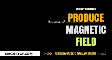 Unveiling the Truth: Eddy Currents and Their Magnetic Field Effects