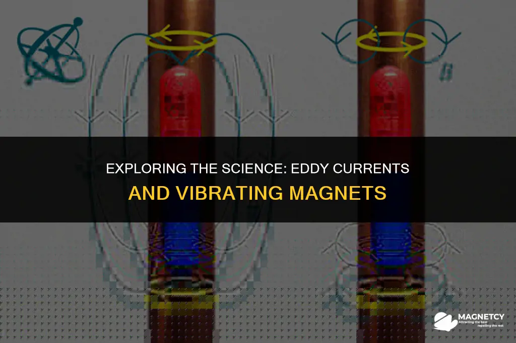 do eddy currents sustain a vibrating magnet