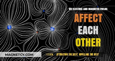 Interplay of Forces: How Electric and Magnetic Fields Interact