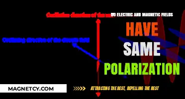 Exploring the Polarization of Electric and Magnetic Fields