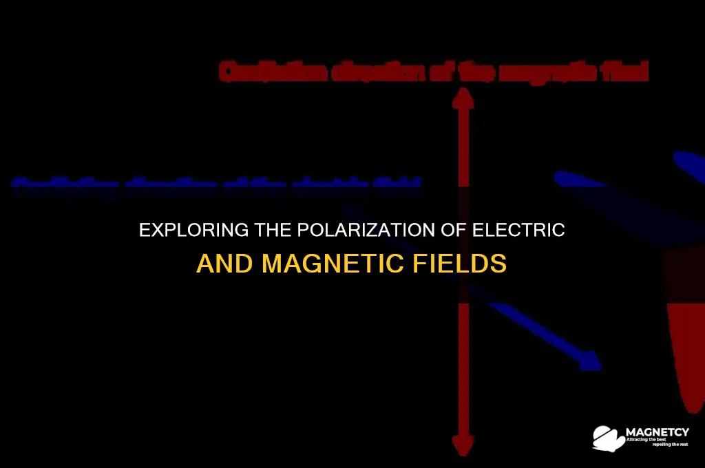 do electric and magnetic fields have same polarization