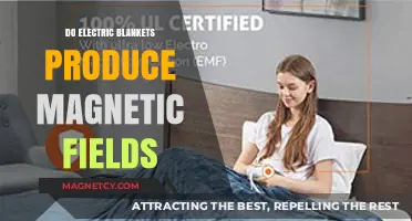 Exploring the Magnetic Mysteries of Electric Blankets