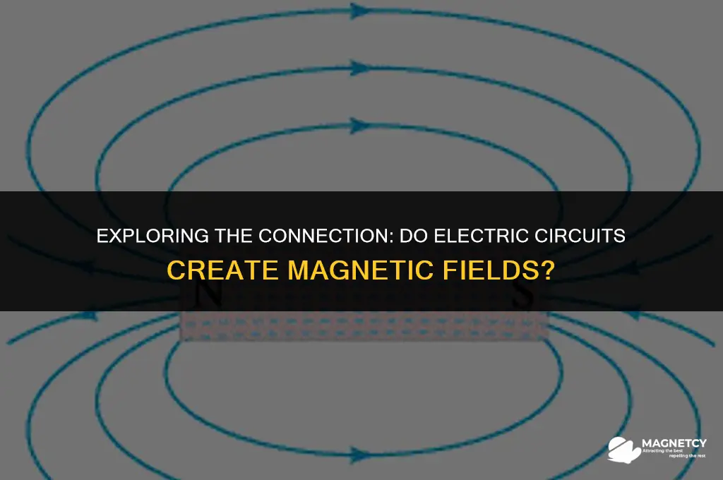 do electric circuits create magnetic fields