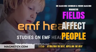 Exploring the Impact of Electromagnetic Fields on Human Health