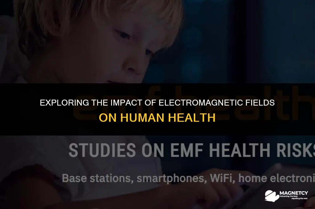 do electric currents from electro magnetic fields affect people