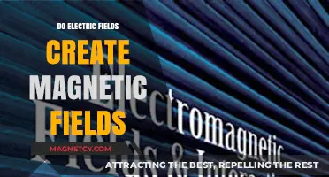 Exploring the Intricate Relationship Between Electric and Magnetic Fields