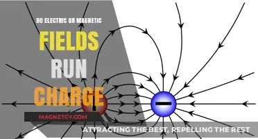 Exploring the Interaction: Electric and Magnetic Fields with Charge