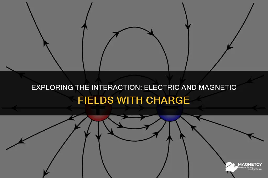 do electric or magnetic fields run charge