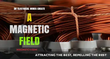 Unveiling the Truth: Do Electrical Wires Generate Magnetic Fields?