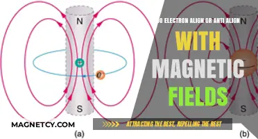 Exploring Electron Behavior: Alignment and Anti-Alignment with Magnetic Fields