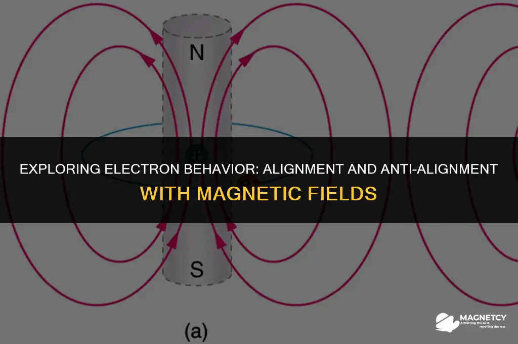 do electron align or anti align with magnetic fields