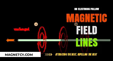 Exploring the Relationship Between Electrons and Magnetic Field Lines