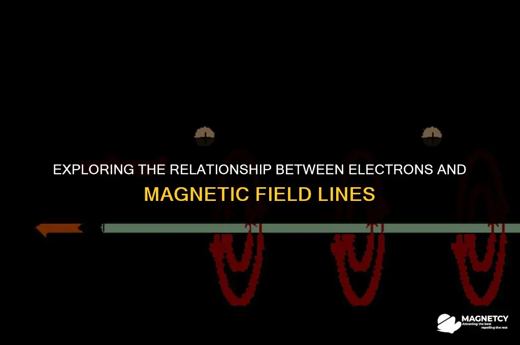 do electrons follow magnetic field lines