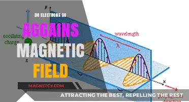 Exploring the Quantum Realm: Do Electrons Defy Magnetic Fields?